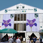 Chelsea Flower Show 2012