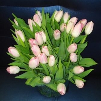 № 22 Букет из 33 тюльпанов, 1490 руб. На выбор красные, белые, желтые или оранжевые тюльпаны.